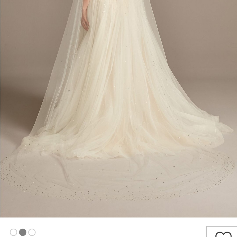 Crystal embellished cathedral veil